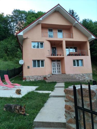 Albac House | Casă de vacanță Lidia