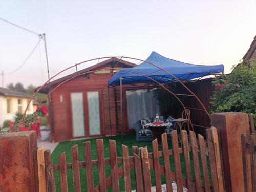 Barcea Mica House | Casa Leo