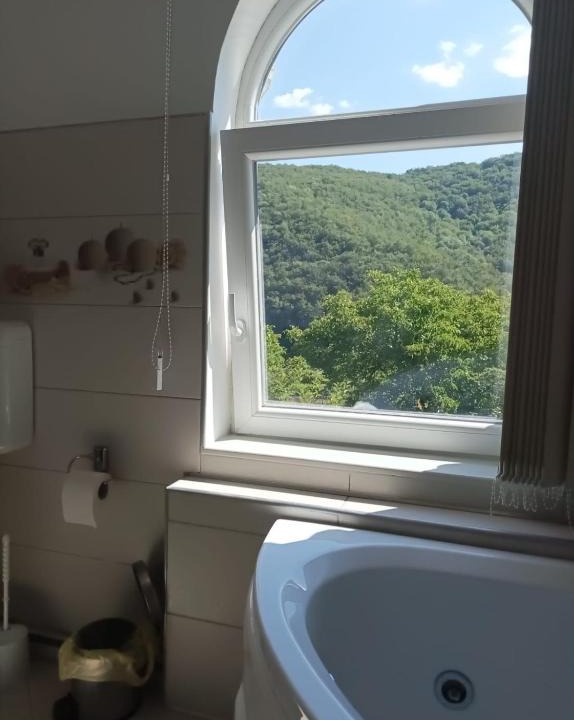 Anina House | Casa Victoria Anina