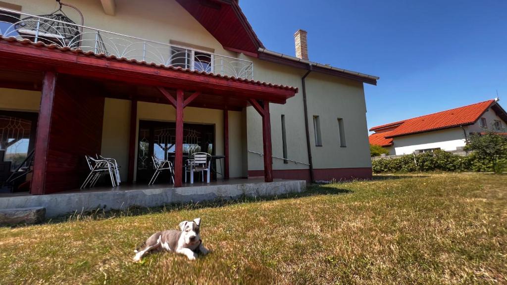 Timisoara Villa | Casa Vio