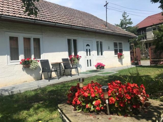 Covasna House | Casuta Sanatatii