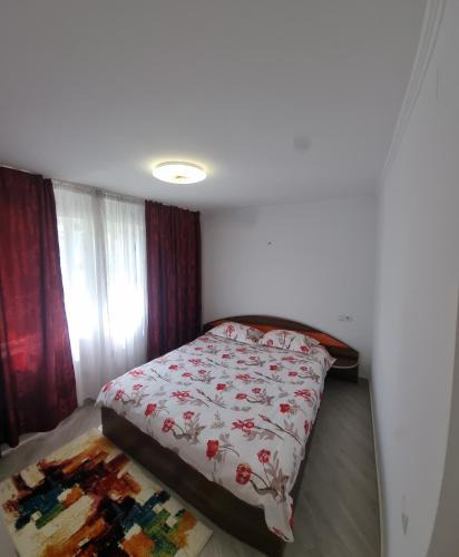 Cavnic Apartment | Cavnic Residence 1