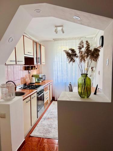 Turnu Magurele Apartment | Central Apartment