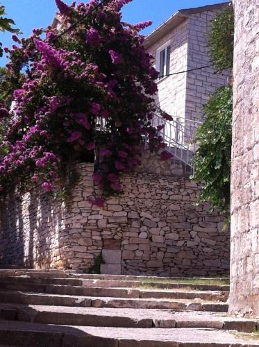 Supetar Apartment | Central Studio Apartments & Dormitory Rooms