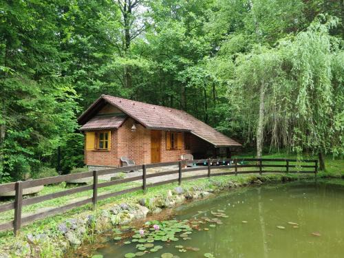 Smarje pri Jelsah Ski Chalet | Cottage by the pond Pavel