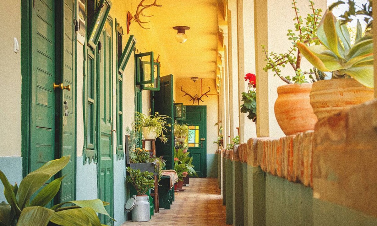 Bilje House | Cozy 3-bedroom farmhouse surrounded by a vibrant garden full of plants.