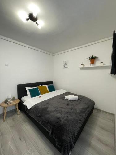 Zalau Apartment | Cozy Studio Apartament Zalau