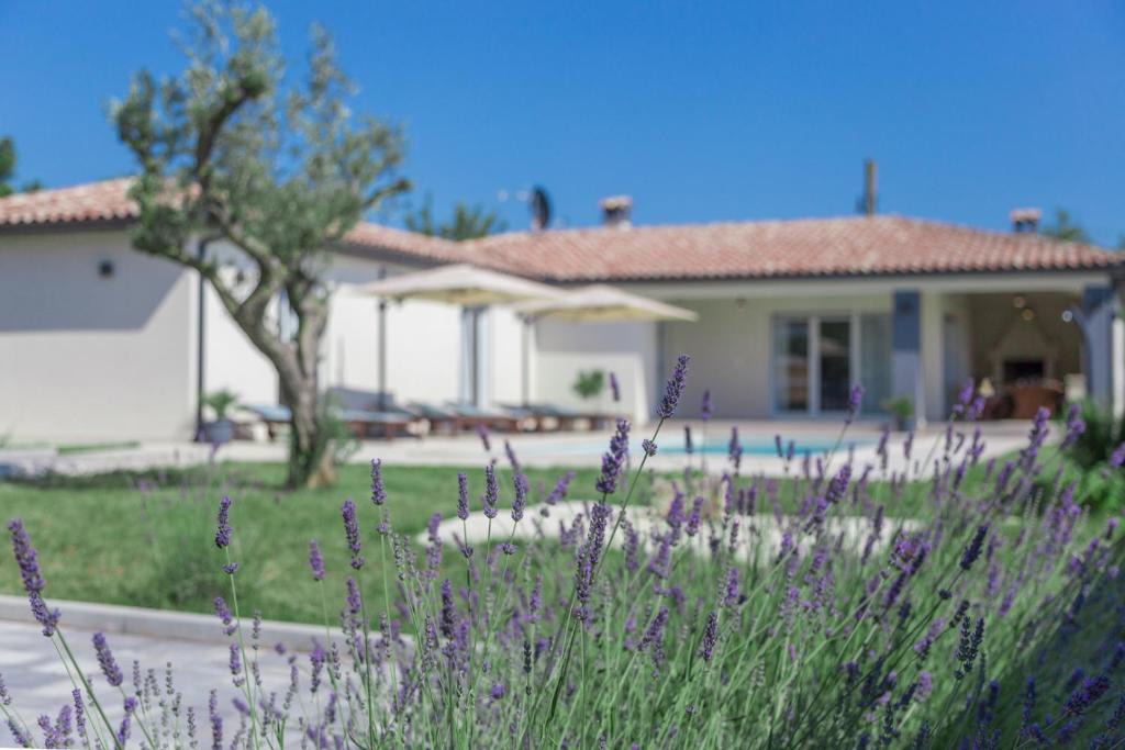 Smoljanci Villa | Cozy villa Cristalines with private pool near Pula