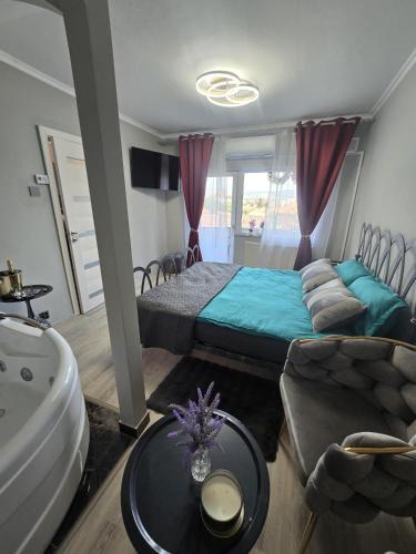 Emanoil Gojdu Apartment | Darlar Loft