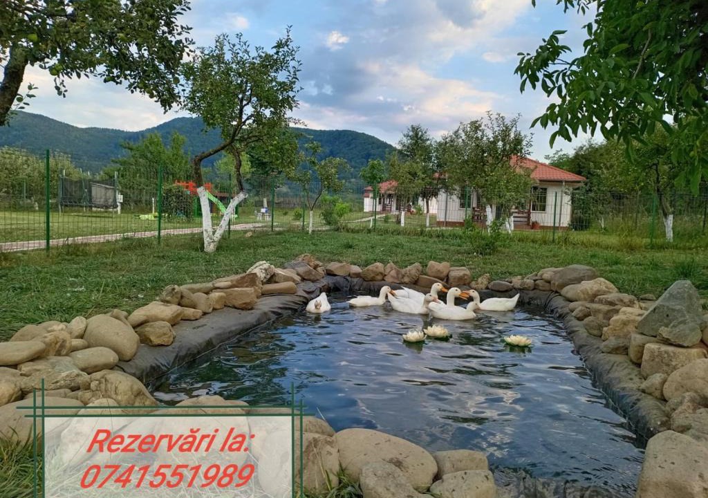 Viisoara House | Desculti prin iarba- la 6,6 km de centrul Piatra Neamt