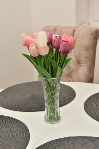 Ravno Selo Apartment | Dora Apartman