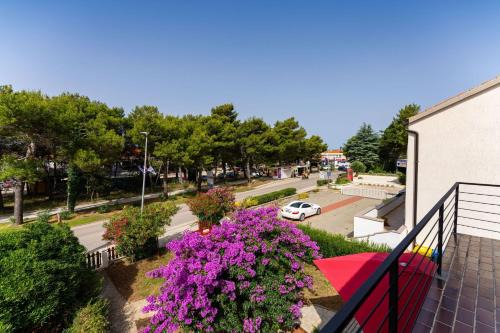 Zrce Apartment | Drazen Charming First Floor Apartment