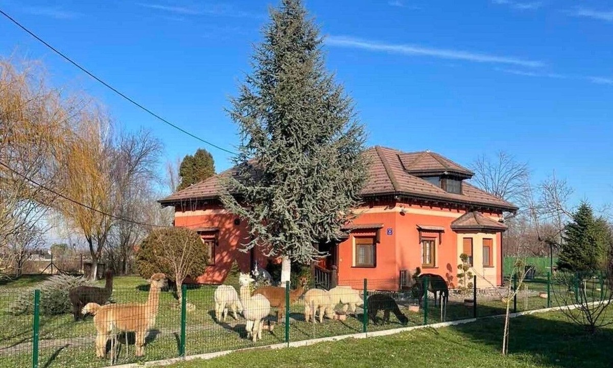 Andrijasevci House | Family-friendly house with hot tub Andrijaševci, Slavonija (K-24939)