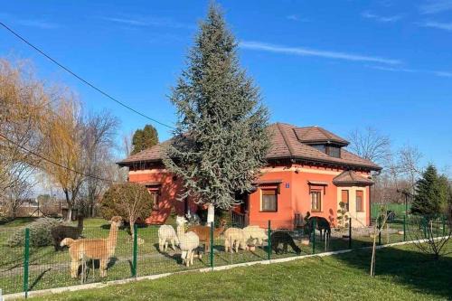 Andrijasevci House | Family-friendly house with hot tub Andrijasevci, Slavonija - 24939