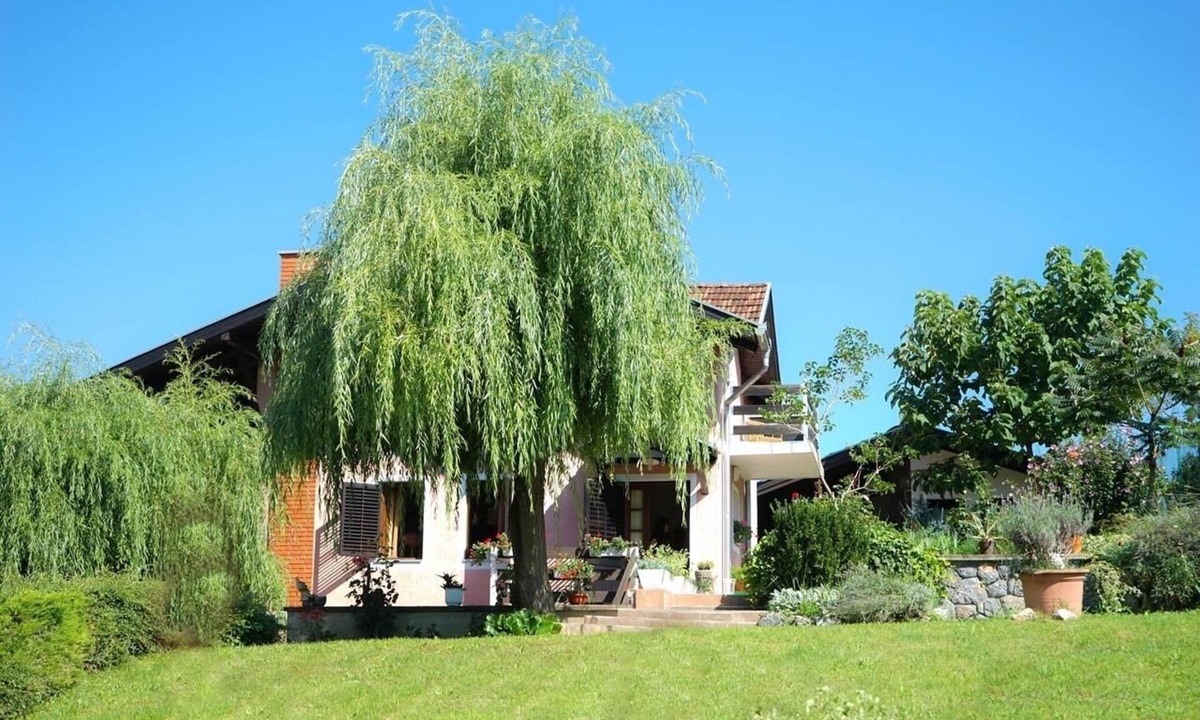 Daruvar House | Family friendly house with a parking space Daruvar, Bjelovarska (K-14920)