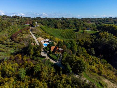 Donja Voca House | Family friendly house with a swimming pool Gornja Voca, Zagorje - 11873