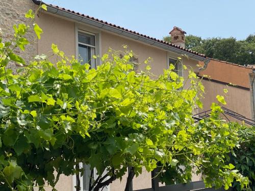 Bale Apartment | Farfalle di Valle