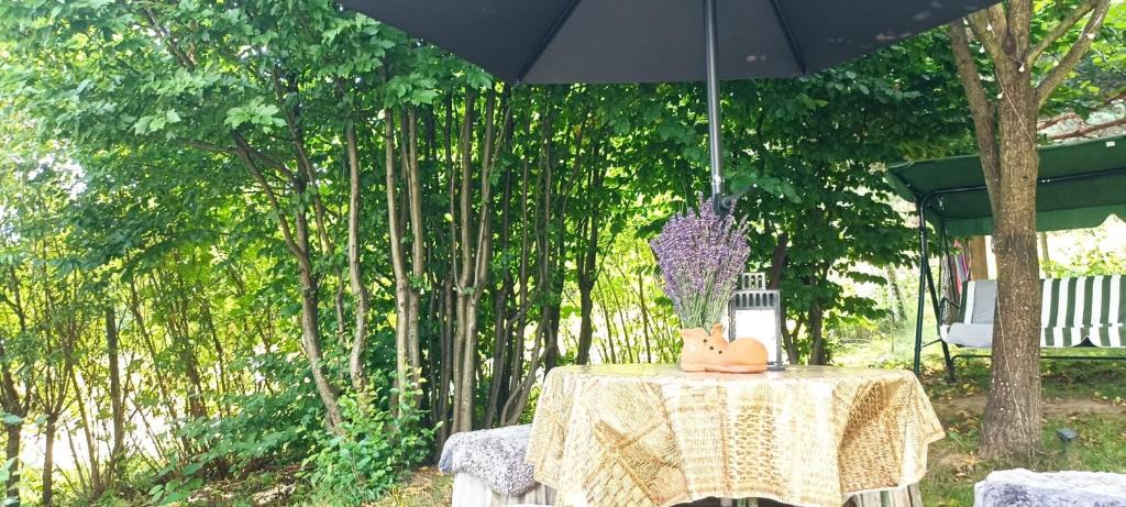 Covasna Villa | Forest Hide Tiny House