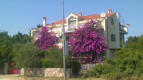 Drage House | Guest House Neda