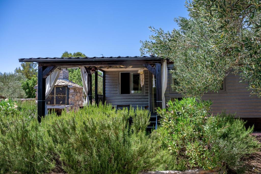 Bilice Apartment | Guest house Punta