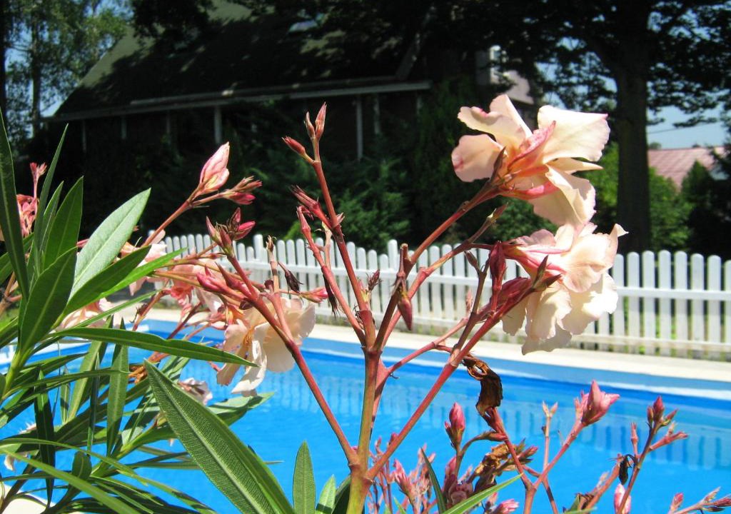 Kupinecki Kraljevec House | Guest House Westwood