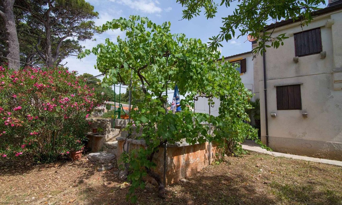 Veli Losinj Apartment | Holiday apartment with air conditioning