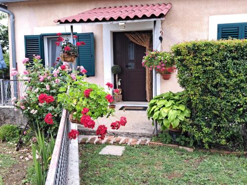 Drnis House | Holiday home "Goga" ruralna kuća