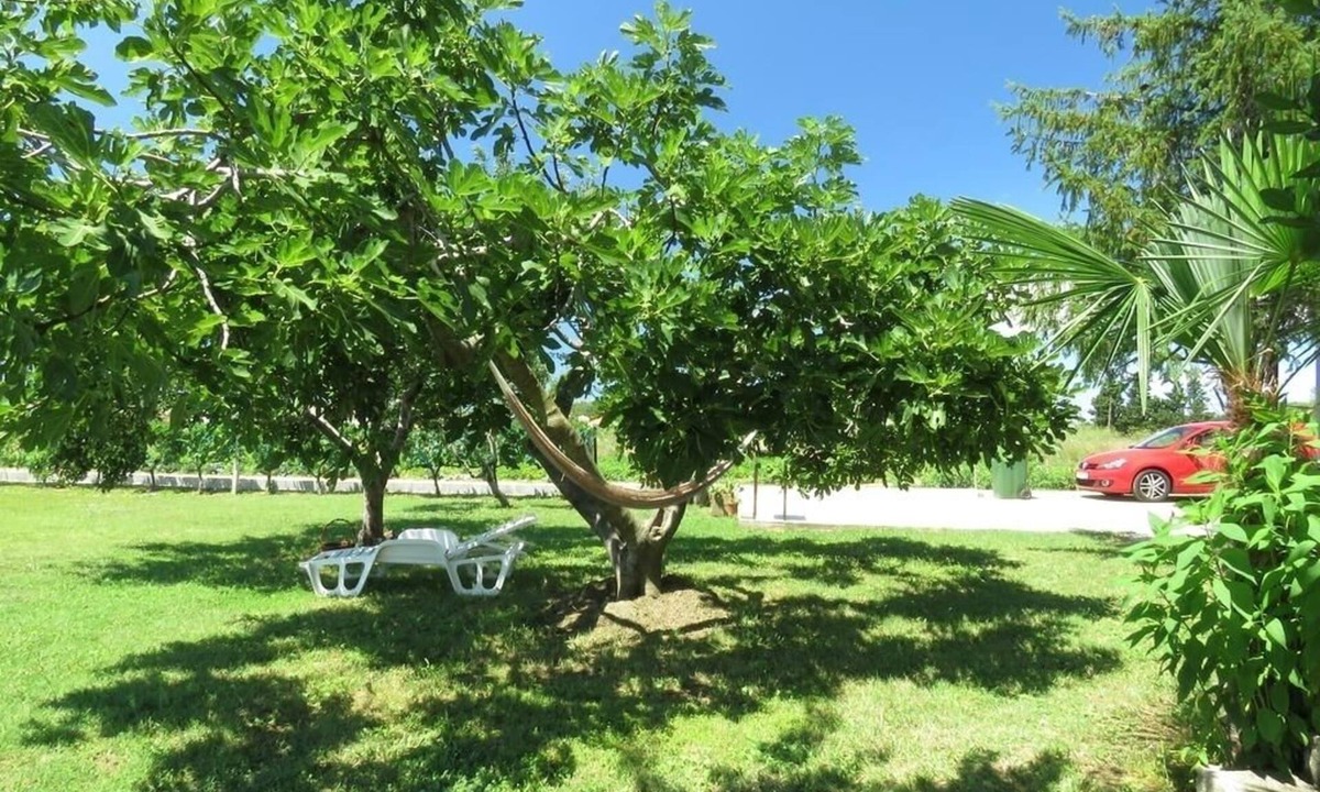 Ljubac House | Holiday Home in Ljubač with Seaview, Terrace, Air condition, WIFI (4851-1)