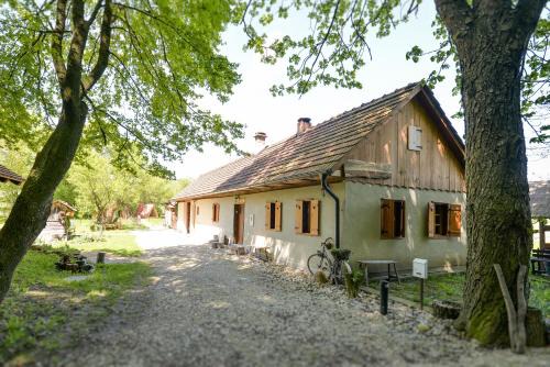 Veliki Lovrecan House | Holiday Home "Rim" - Kuća za odmor i kućice