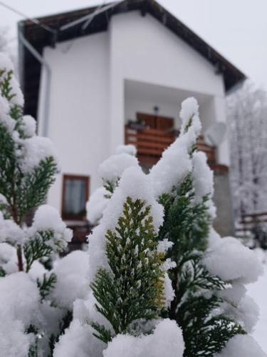 Cacinci House | Holiday home Tilia