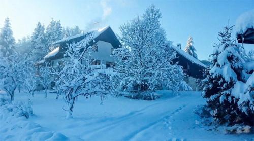 Trsce House | Holiday house with a parking space Srednja Draga, Gorski kotar - 24140