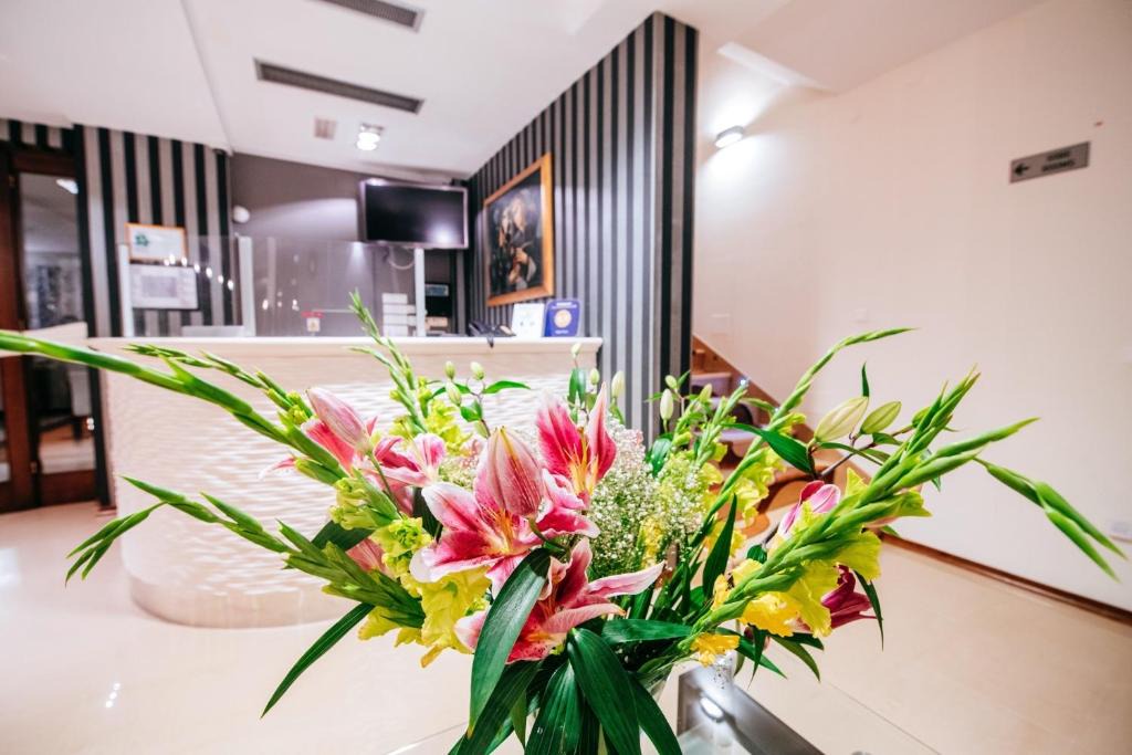 Zrce Hotel | Hotel Terra