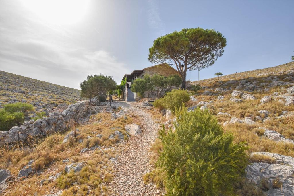 Kornati House | House Mandica