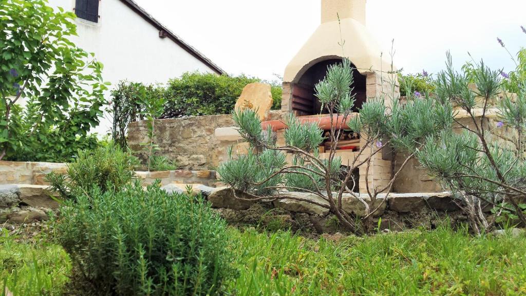 Motovun House | House of Veli Joze
