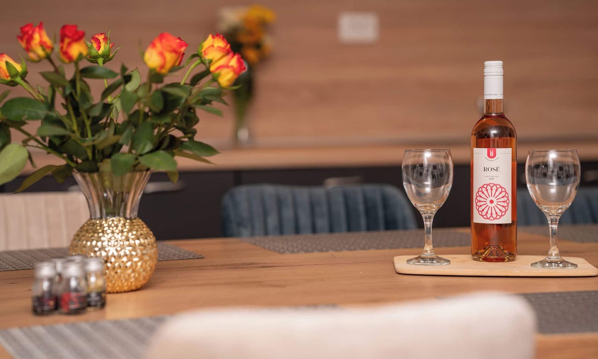 Vukovar House | House with wellness and entertainment facilities ideal for large groups