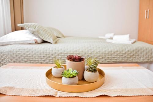 Grbavica Apartment | Iris