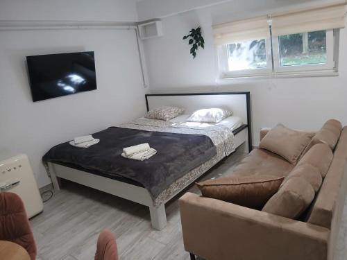 Sesvete Apartment | King-Size Bed Studio