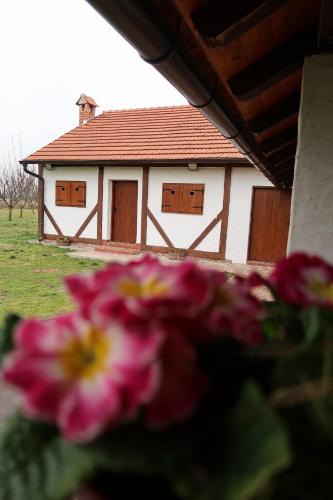 Hlebine House | Kuća za odmor Drava