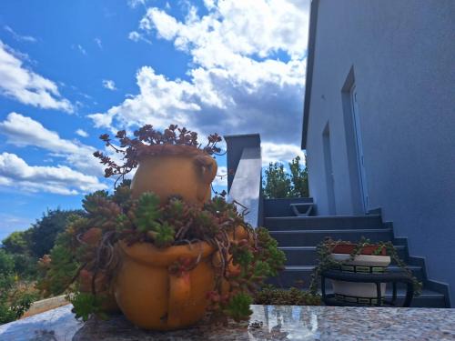 Sveti Filip i Jakov Apartment | lastva 1&2