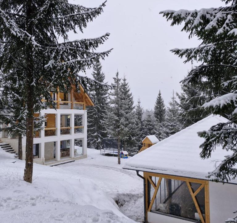 Baisoara Cabin | Luna Retreat