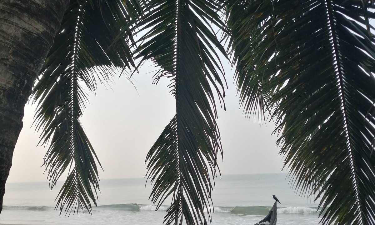Kodungallur House | Luxury beach house with beach and sea views from all rooms and the terrace.