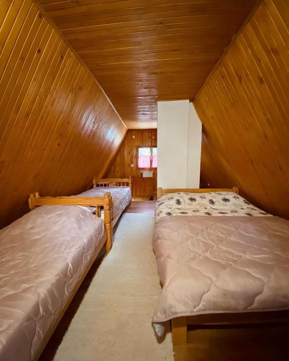 Babanovac Ski Chalet | Mali Princ Vlasic