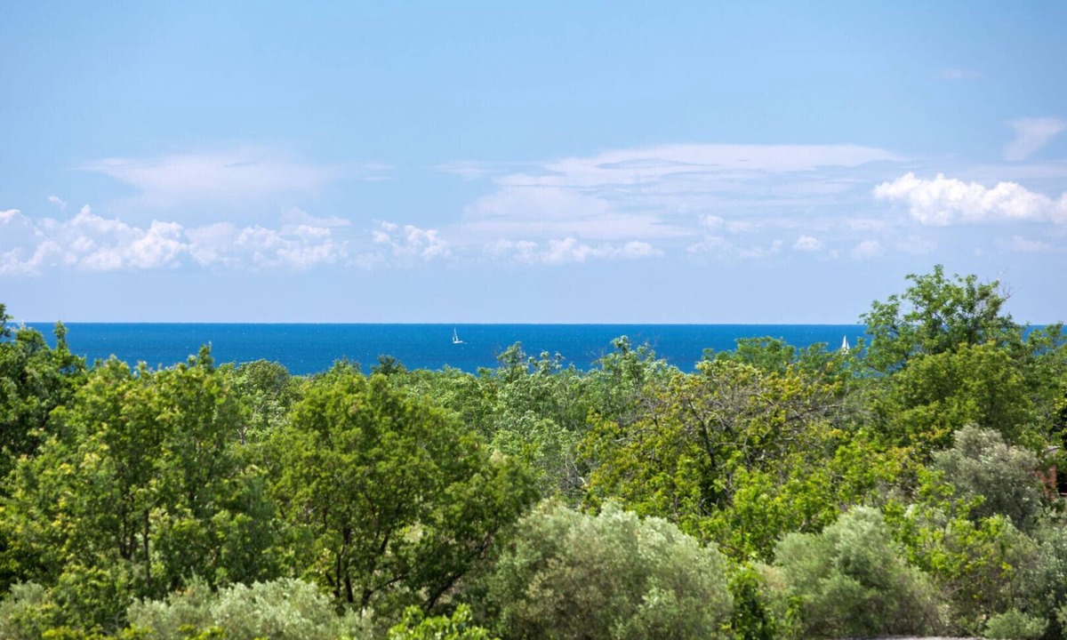Babici Villa | Modern villa Lucia with outdoor pool in Umag