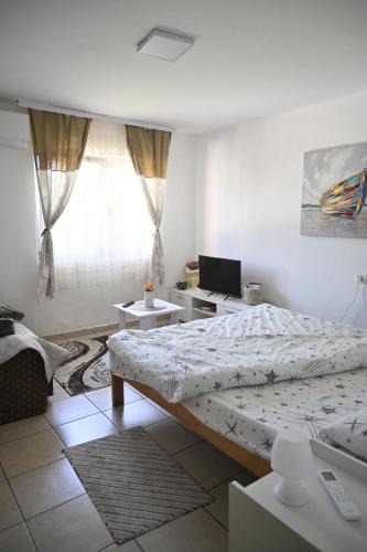 Knjazevac Apartment | Mokino bunarče