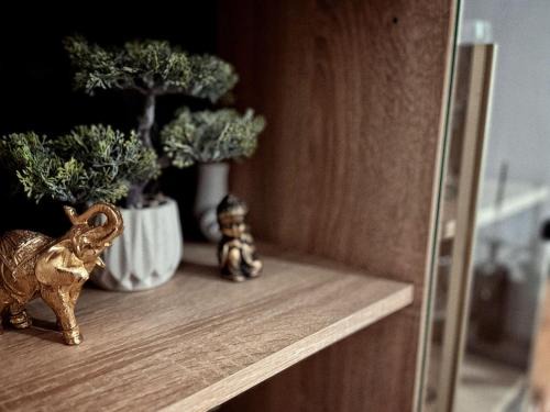 Campulung Apartment | Mountain View Muscel Apartment