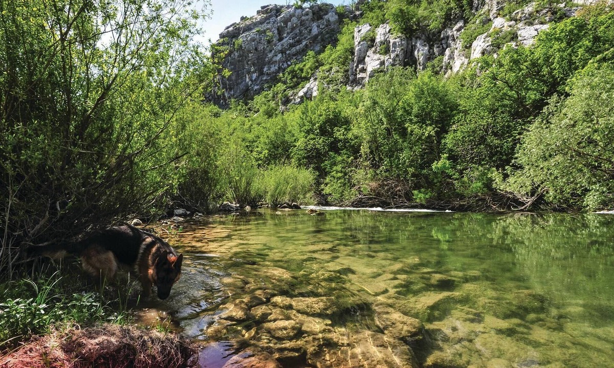 Srijane House | Near the river Cetina awaits you this practical cottage with vegetable garden.