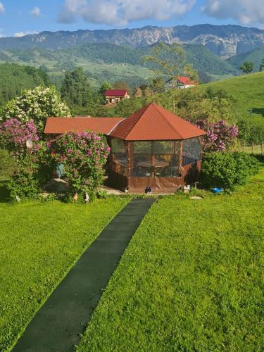 Moieciu de Jos House | Nona Highland Home Moieciu - pet friendly total