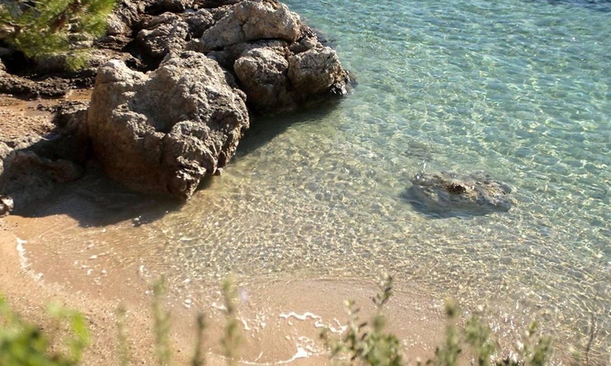 Dubrava Apartment | Olive-sunset Haven in Zuljana