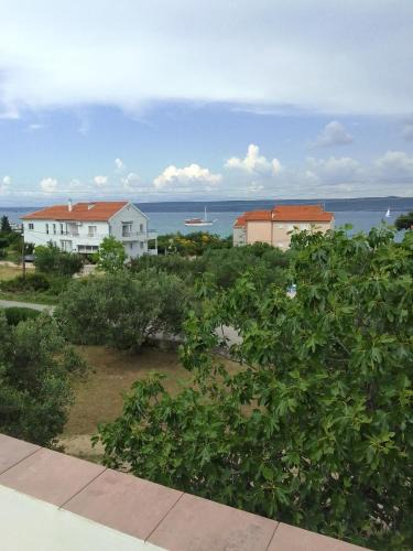 Dobropoljana Apartment | Olives & Figs Retreat by the sea - zen apartments 100 m from the beach