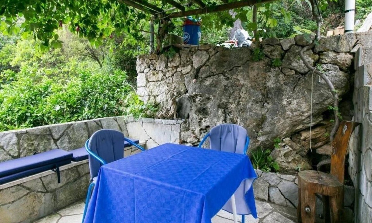 Sobra Apartment | One bedroom apartment with balcony and sea view Sobra, Mljet (A-600-a)
